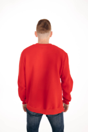 raudonas vyriškas džemperis